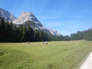 DSCN0494.JPG