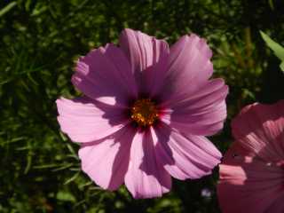DSCN0554.JPG