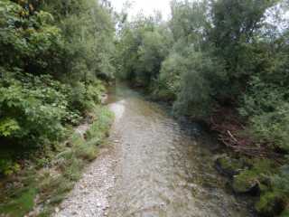 DSCN9898.JPG