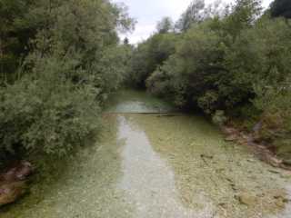 DSCN9930.JPG