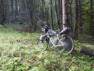 DSCN9995.JPG