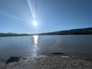 PXL_20250825_161447195.jpg