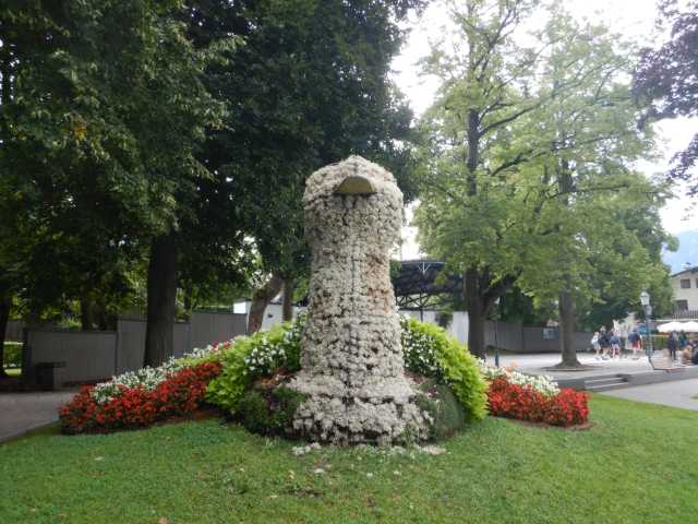 DSCN0220.JPG