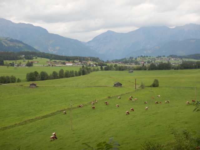 DSCN0238.JPG