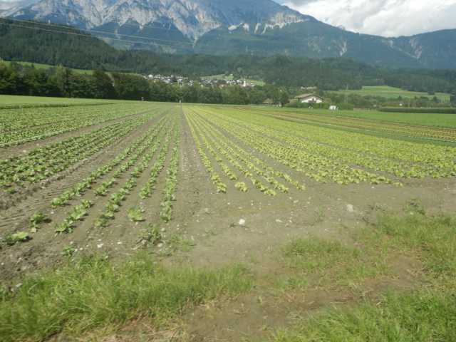 DSCN0384.JPG