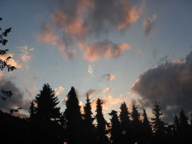 DSCN0433.JPG