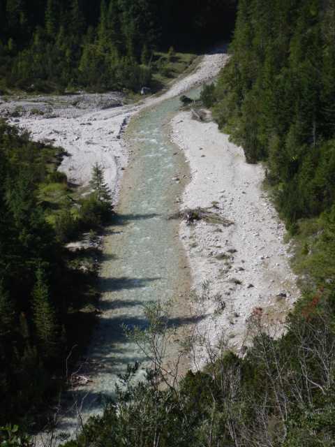 DSCN0483.JPG