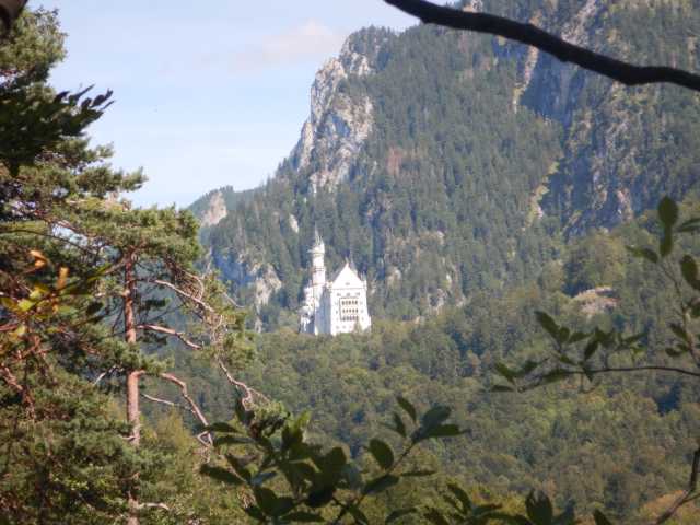 DSCN0534.JPG