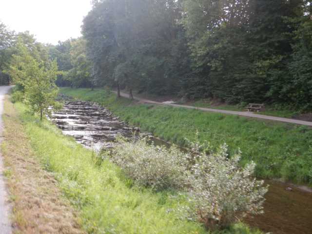 DSCN9885.JPG