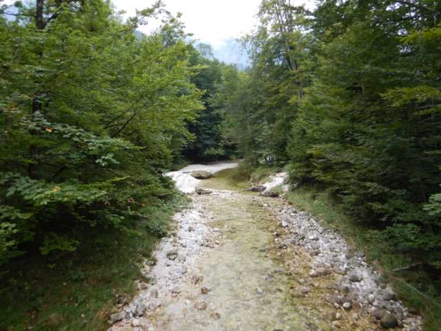 DSCN9937.JPG