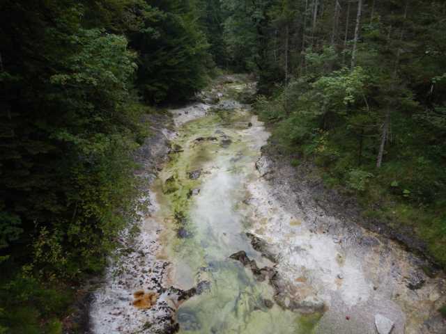 DSCN9943.JPG