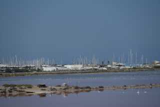 DSC_4445.JPG