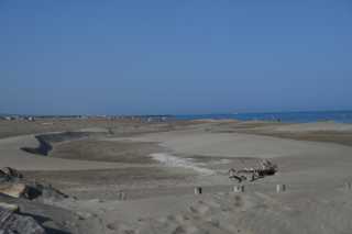 DSC_4516.JPG