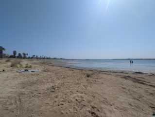 PXL_20250810_102528130.MP.jpg