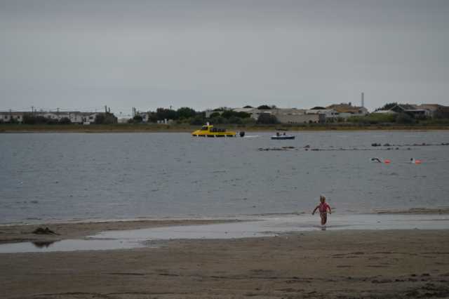 DSC_4284.JPG