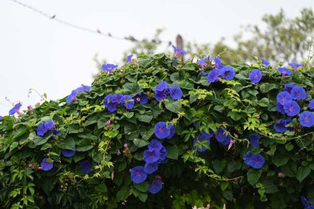 DSC_4351.JPG