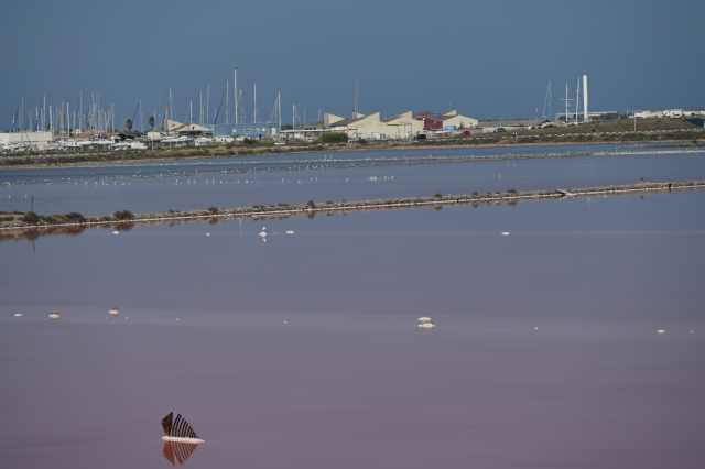 DSC_4435.JPG