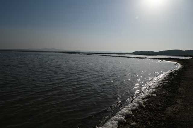 DSC_4559.JPG