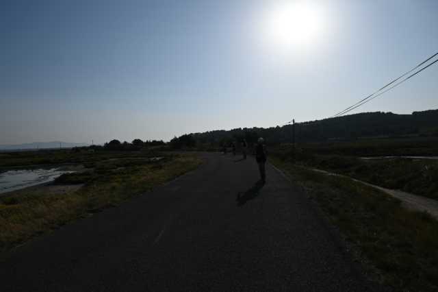 DSC_4574.JPG