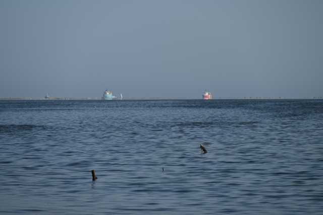 DSC_4575.JPG