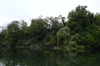 DSC_5524.JPG