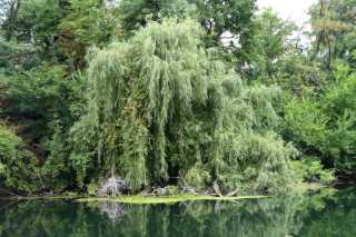 DSC_5527.JPG