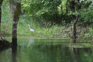 DSC_5553.JPG