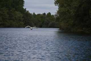 DSC_5606.JPG