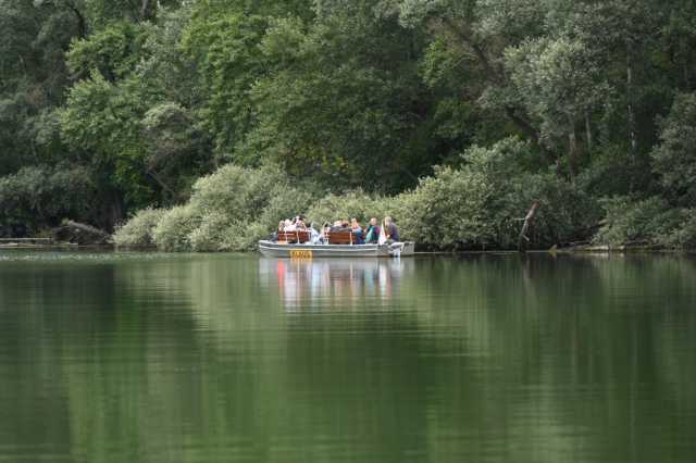 DSC_5519.JPG
