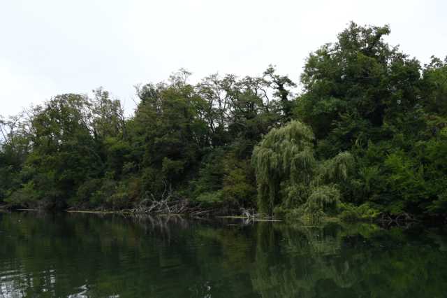 DSC_5524.JPG