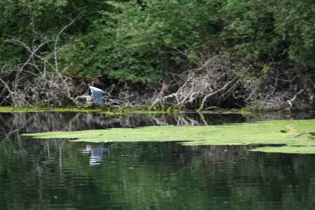 DSC_5531.JPG