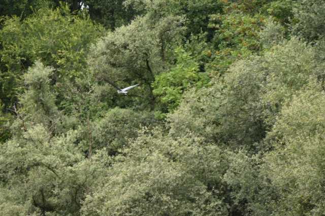 DSC_5597.JPG
