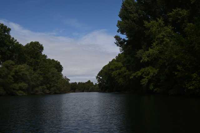 DSC_5621.JPG