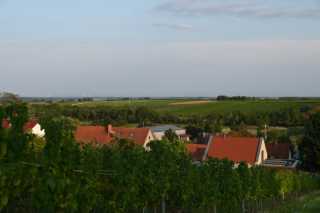 DSC_4633.JPG