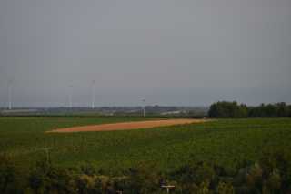 DSC_4634.JPG