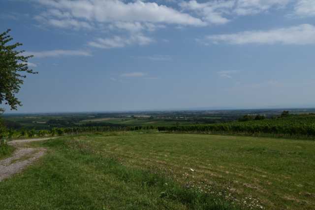 DSC_4615.JPG