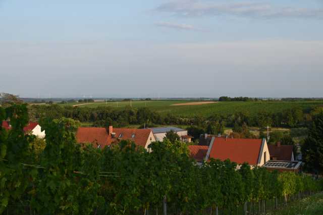DSC_4633.JPG