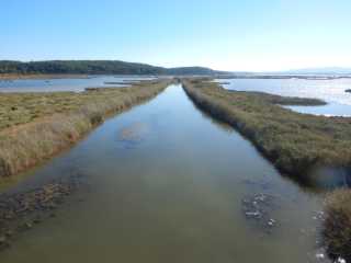 DSCN0721.JPG