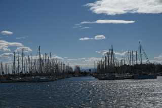 DSC_5962.JPG