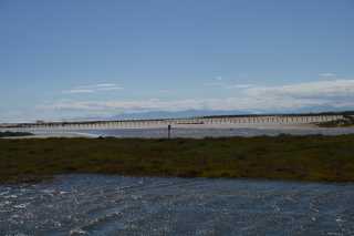DSC_6019.JPG