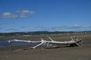 DSC_6059.JPG