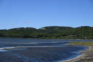 DSC_6084.JPG