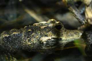 DSC_6167.JPG