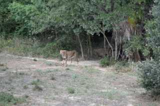 DSC_6553.JPG