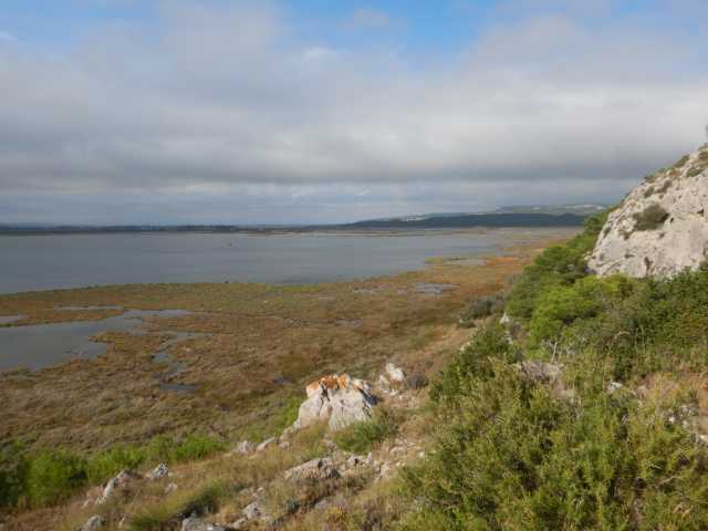 DSCN0680.JPG