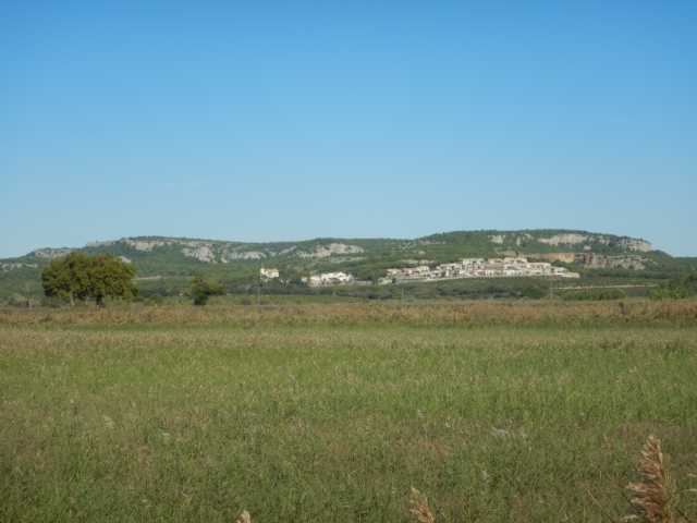 DSCN0719.JPG