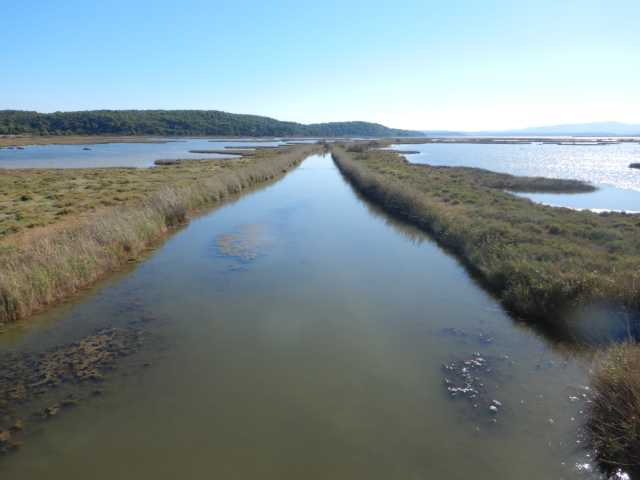 DSCN0721.JPG