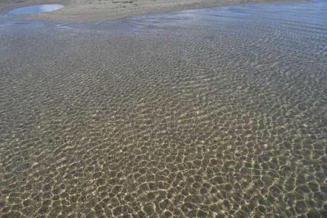 DSC_5984.JPG