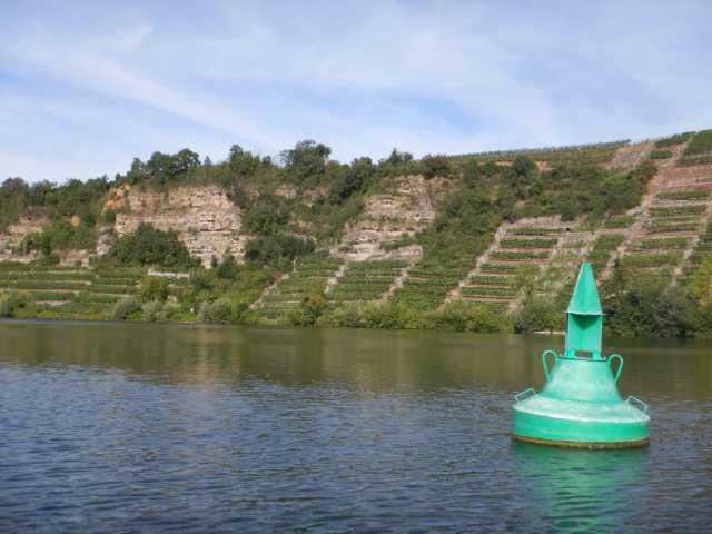 DSCN0633.JPG