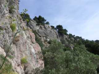 IMGP0098.JPG